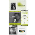 Flux Website Template